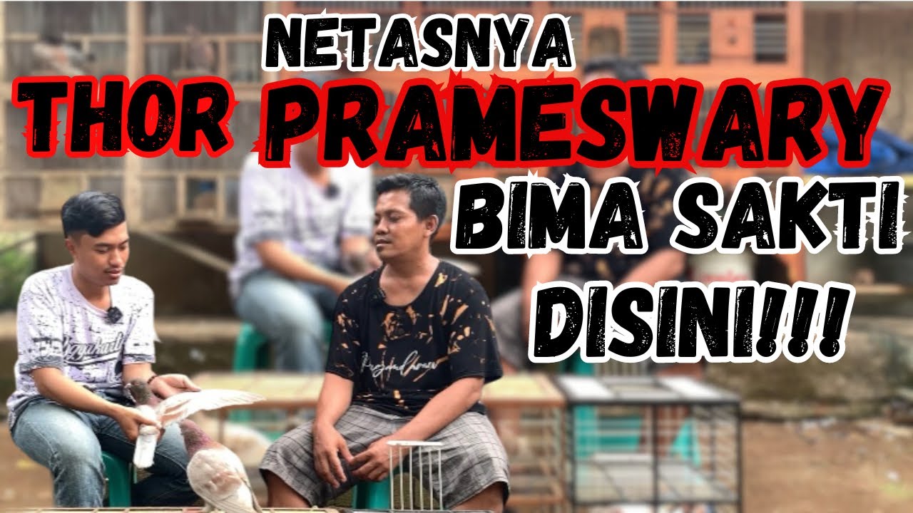 KANG ROJIKIN PETERNAK THOR,PRAMESWARY DAN BIMA SAKTI‼️