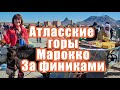 Атласские горы. Марокко. Часть 3. За финиками