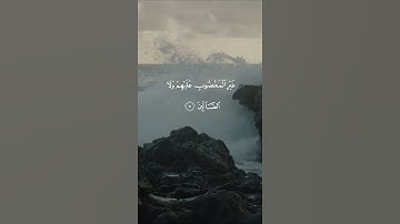 القارئ عمير شميم - سورة الفاتحه | مقاطع قرآن قصيرة وحالات واتس إسلامية 🌱
