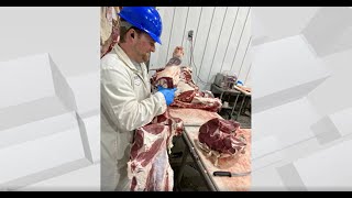 KY3 The Place @ Zimmerman Meats - Harvest + Processing