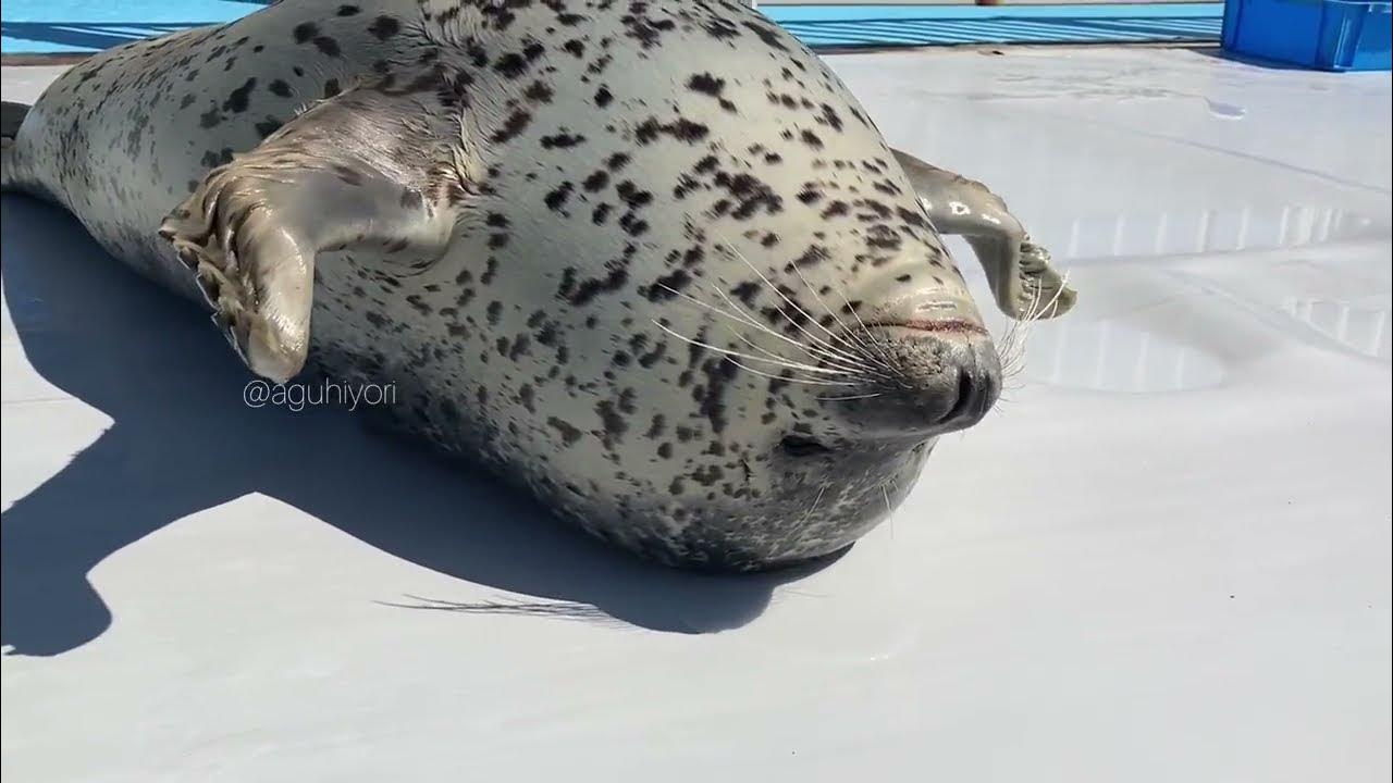 upsidedown neck trick YouTube