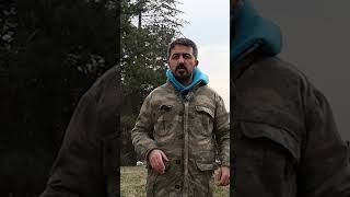 Neler Köpeği Nasıl Agresif Hale Getirir? Ne Yaparsam Köpeğim Saldırgan Olur?