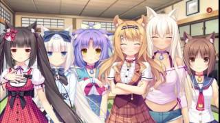 Nekopara sisters purring