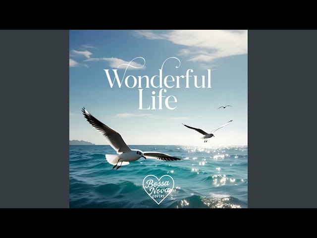 Wonderful Life - YouTube