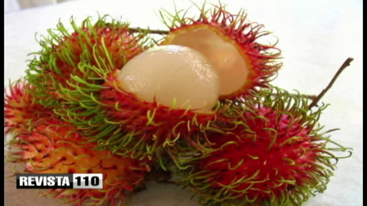 ayers rock australia Eduardo Quezada