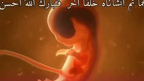 "فَتَبَارَكَ اللَّهُ أَحْسَنُ الْخَالِقِينَ" سورة المؤمنون (14) - هكذا هو خلق الإنسان human creation