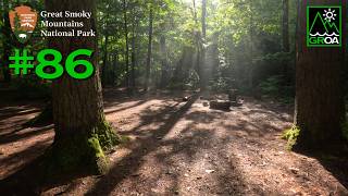 Backcountry Campsites Guide:  #86 (Proctor) in Great Smoky Mountains National Park  |  Hazel Creek