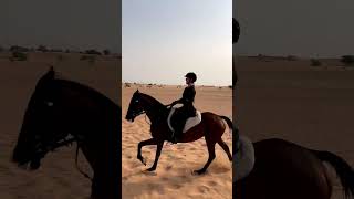 Horse riding ?(2)