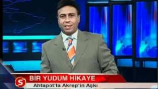 Asım Yıldırım - Ahtapotla Akrepi̇n Aşki - Bir Yudum Hikaye