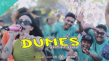 SYAHIBA SAUFA || DUMES || PEMUDA BULUAGUNG BERSATU || ONE PRO MUSIC
