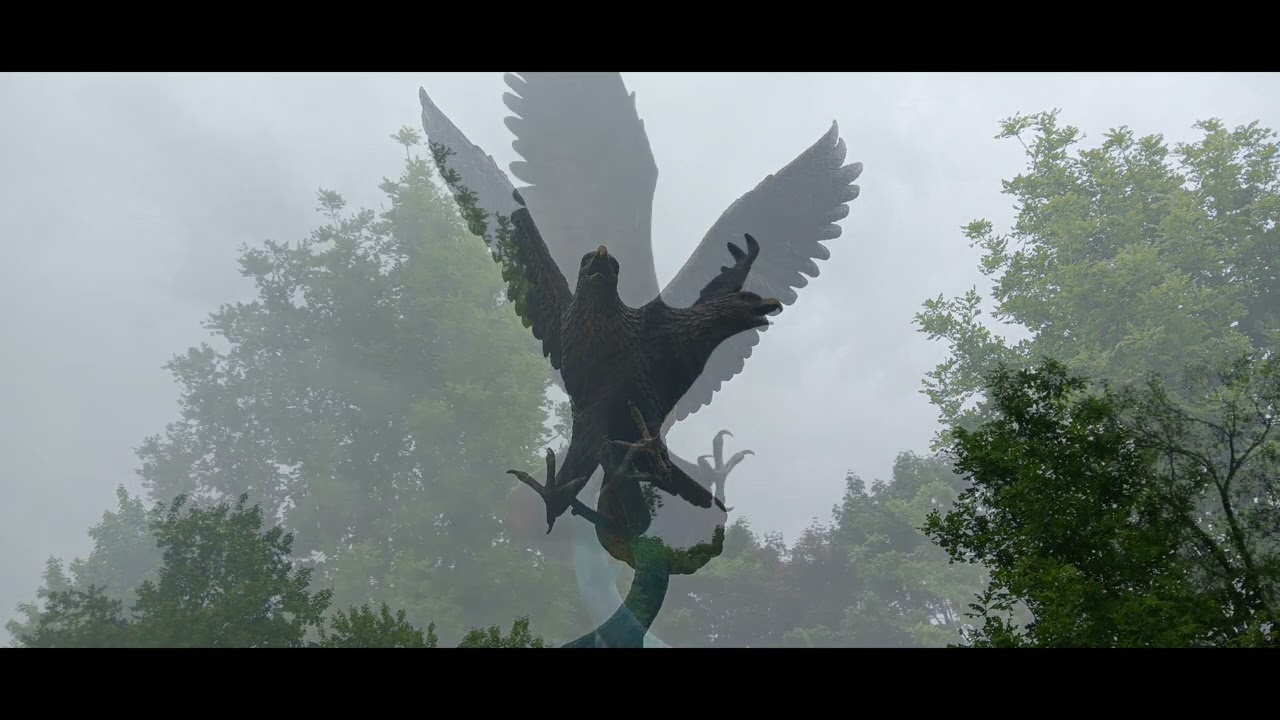 MEMORIAL DAY TRIBUTE 2024