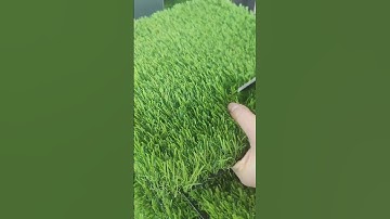 ⚠️Direct Supply Artificial Grass⚠️Wholesale Price | Bulk Order ⭕Neat appearance💯#artificialgrass