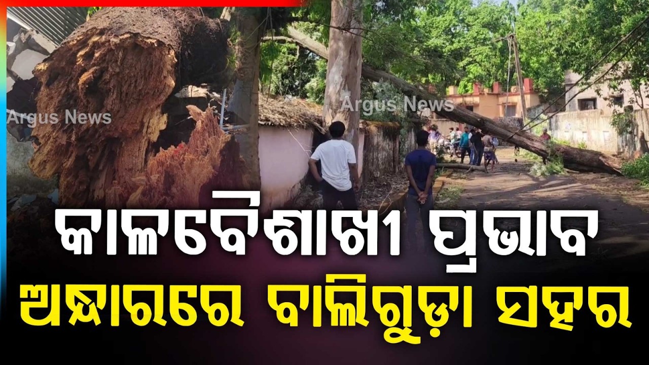 କାଳବୈଶାଖୀ ପ୍ରଭାବ ବିଦ୍ୟୁତ୍‌ ସେବା ବ୍ୟାଘାତ | Kalabaishakhi | Baliguda News | Odisha News | Argus News