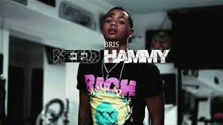 Bris - Need Hammy (432hz)
