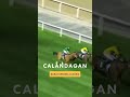 Turf perfection from Calandagan 🤌