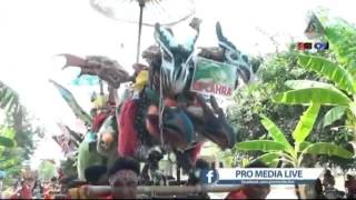 Kopi Hitam Singa Dangdut Ronald Nada