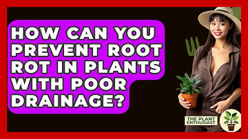 How Can You Prevent Root Rot In Plants With Poor Drainage? - The Plant Enthusiast
