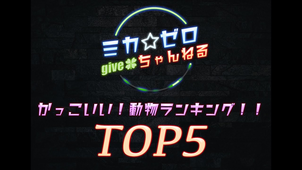 かっこいい動物 ランキングtop5 Youtube かっこいい動物 ランキングtop5 Youtube