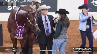 2025 Amateur Aged Geldings World Champion