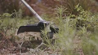 Albuquerque Weed Control Services by ASAP Sands Outdoor Services
