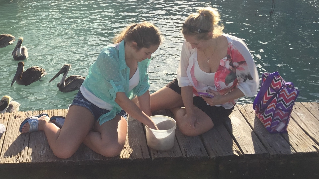 Hand Feeding Tarpon in the Florida Keys. Sailing Landlocked Ep.7