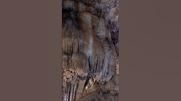 What is Speleology? #shorts #scienceeducation #earthscience #educationalvideo #discoverscience #stem