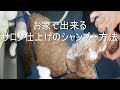 Dog Shampoo お家で出来るサロン仕上げのシャンプー方法