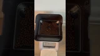 Upgrade Your Cat's Meals: PETLIBRO Automatic Feeder Unboxing & Test