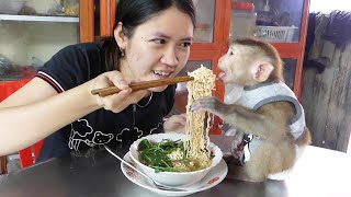 Wohoo Most Funny! Donal Hungry Thai Noodle He Screaming Loudly While Eating Noodle