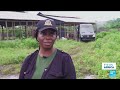 Nigeria dismantles its largest meth lab as Mexican cartel push into country • FRANCE 24 English