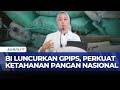 BI Luncurkan GPIPS Nasional untuk Perkuat Ketahanan Pangan | KOMPAS BISNIS