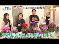 冬の女王 シクラメンの魅力に迫る【夢が咲く 有吉園芸~Road to start a garden shop~】