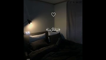 تلاوة هادئة😴🎧 من القارئ عمر بن ضياء الدين❤️✨️ #قرآن #اذكرو_الله #صلوا_على_النبي #راحة_نفسية
