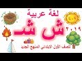 منهج الصف الأول الابتدائي الجديد لغة العربية وشرح( حرف ش) بالحركات والسكون  2019