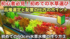 Itngzsfg8g8q9m