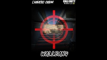 Quick WallBangs on RAID Map #codm #shorts
