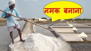 Natural Salt Making with Sea Water | NaCl | Salt Mineral Make Process India | नमक बनाने की प्रक्रिया