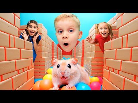 Kanak kanak terperangkap di Labirin Hamster
