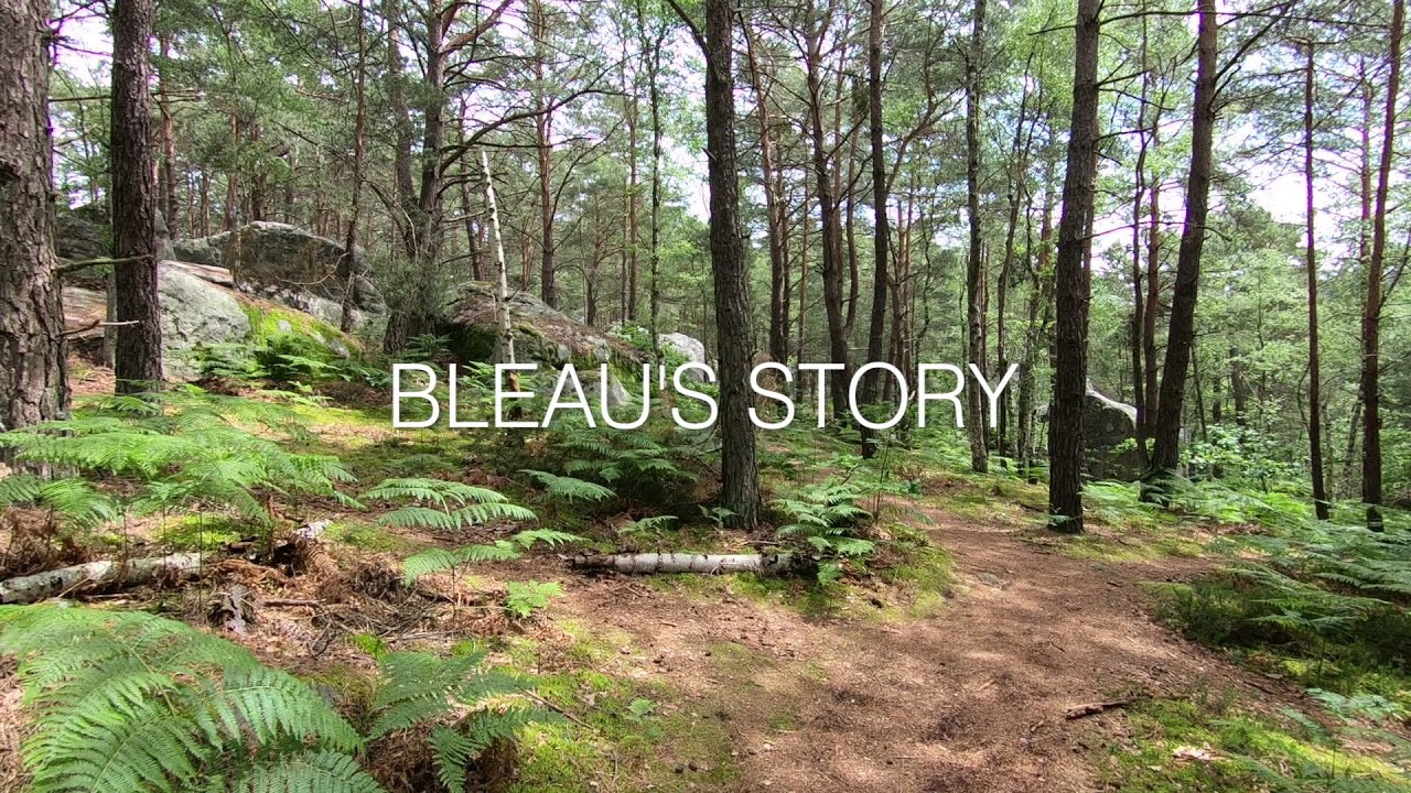 BLEAU'S STORY (english subtitles)