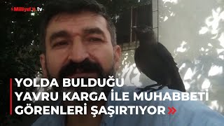 Yavru Karga Ile Dostluğu Görenleri Şaşırtıyor