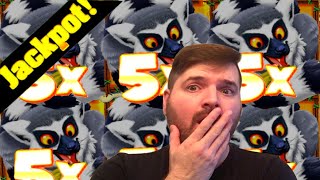 Landing 30X In The Bonus For MASSIVE JACKPOT HAND PAY On Ring Tailed Wilds!