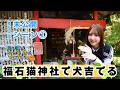 【じもきら第94話未公開シーン1】竹内希来里×平岡海月が同期旅で尾道「猫の細道」へ!世界中の猫を愛するみっちゃんに猫みくじでまさかの結果