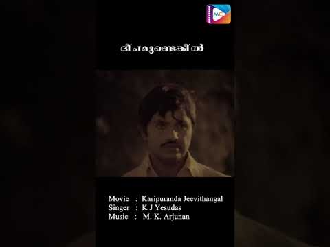 Deepamundenkil  Karipuranda Jeevithangal  Malayalam Movie Song  K J Yesudas  Evergreen Hits 