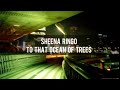 椎名林檎 (Sheena Ringo) &ndash; 走れゎナンバー (To that ocean of trees) [Eng/Kan/Rom] Lyrics