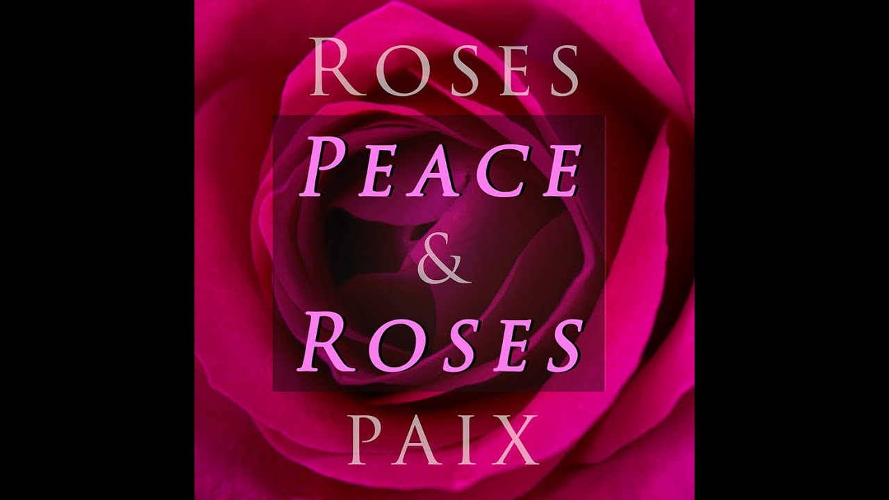 Peace & Roses / Roses & Paix YouTube