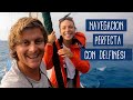 Navegamos con DELFINES en Bahamas [Episodio 4] El Viaje de Bohemia