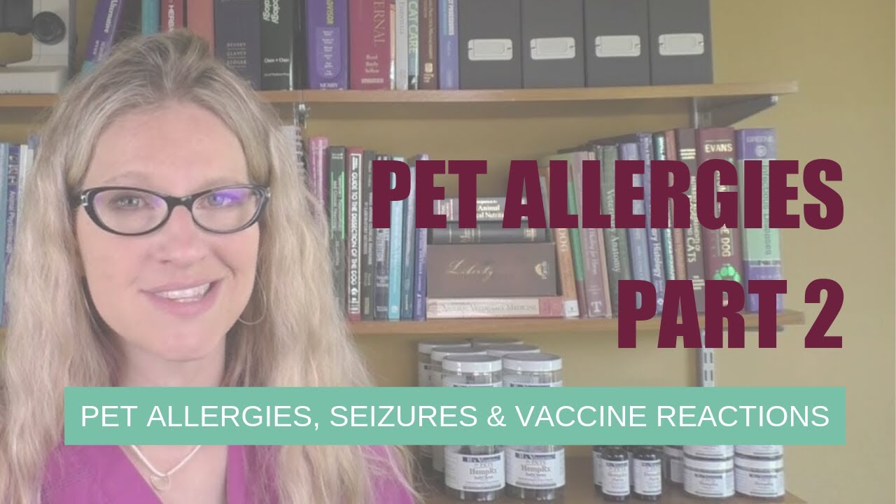 Pet Allergies, Seizures and Vaccine Reactions (Part 2) Ask Dr. Angie