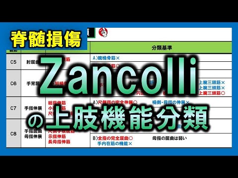 【脊髄損傷⑦】評価（Zancolliの上肢機能分類）【理学療法士・作業療法士】