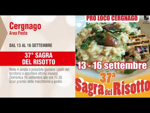 italian greyhound Tempo Libero fino al 16 settembre 2018