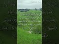 ق ل آم ن ا ب الل ه و م ا أ نز ل ع ل ي ن ا و م ا أ نز ل ع ل ى إ ب ر اه يم فاروق صابر 